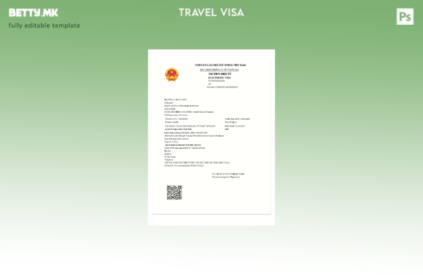 Модерен стил Виетнамски шаблон за електронска патна виза